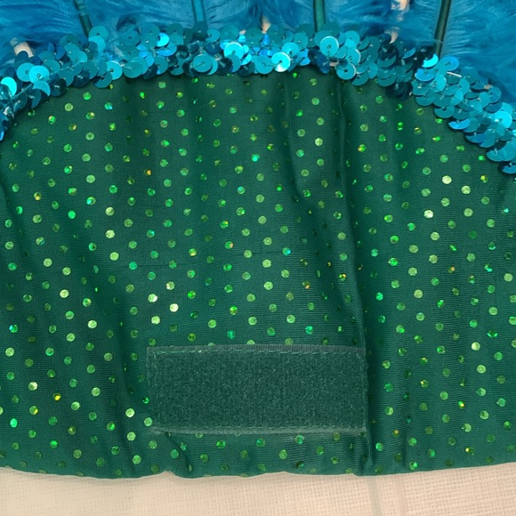 Chasing Fireflies Wishcraft Peackok Costume Sz 6. - Picture 6 of 16